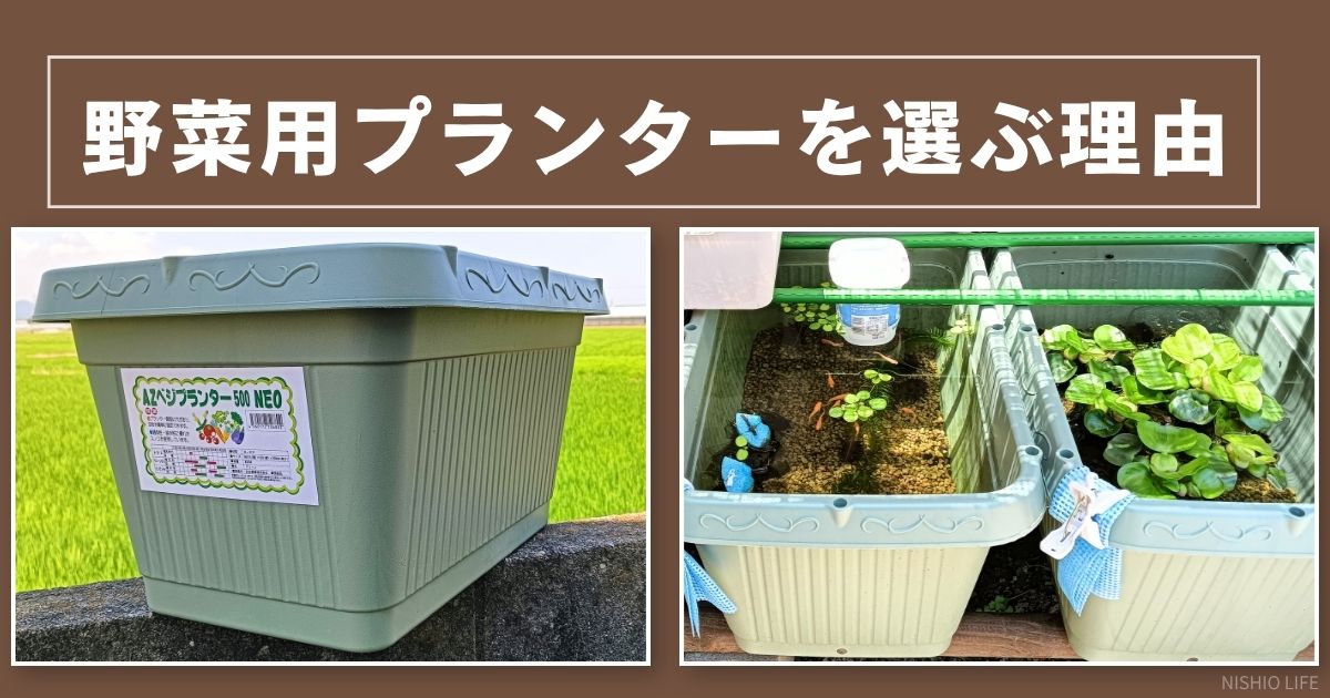 野菜用プランターをビオトープに活用した事例と選ぶ理由