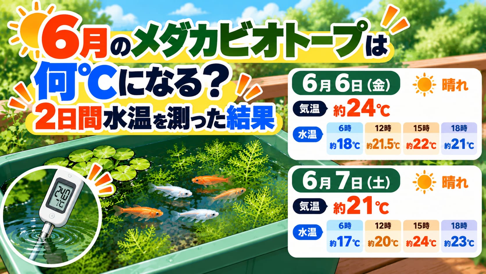 6月のメダカビオトープは何℃になる？2日間水温を測った結果のアイキャッチ画像