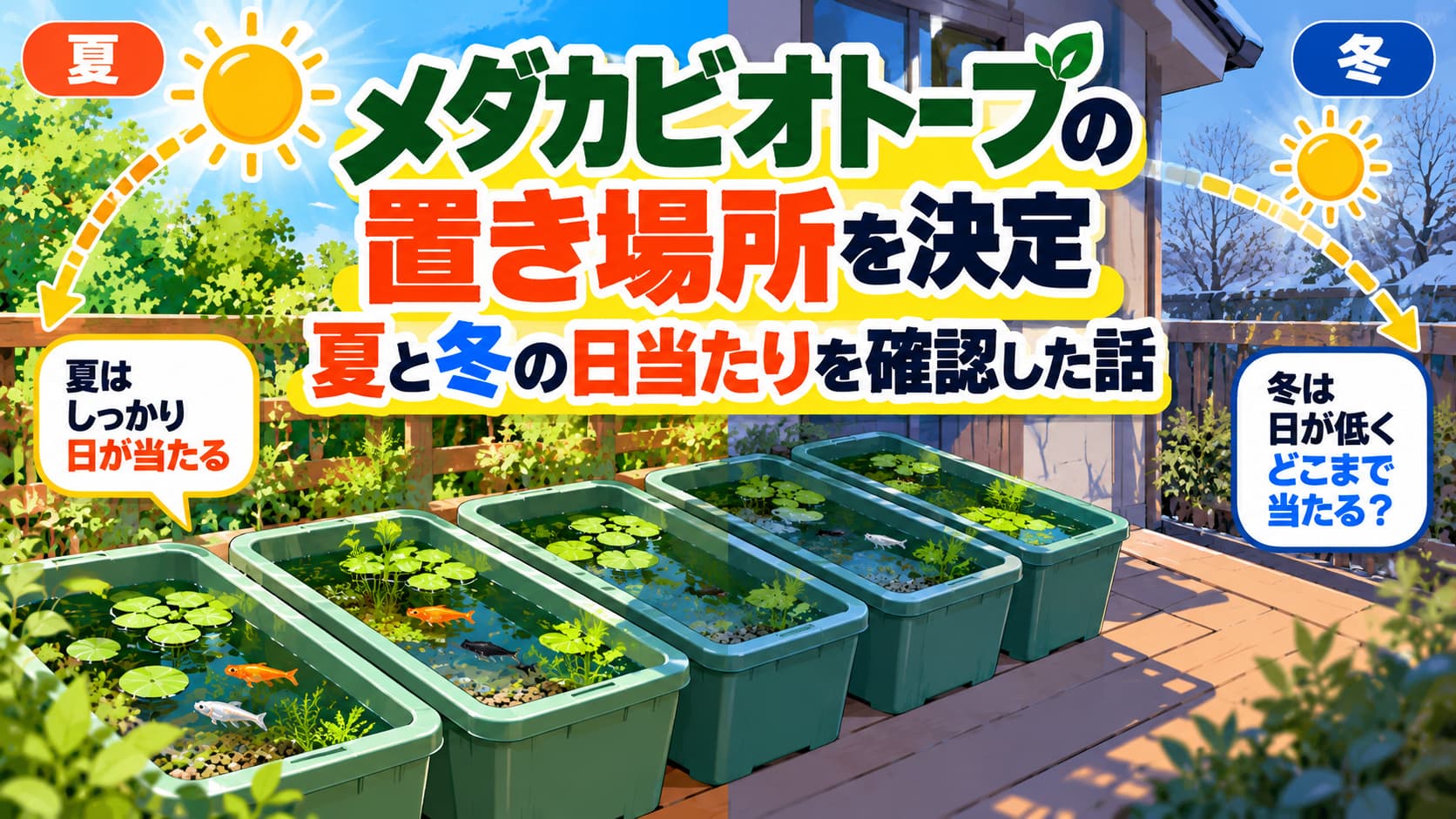 メダカビオトープの置き場所を決定｜夏と冬の日当たりを確認した話のアイキャッチ画像